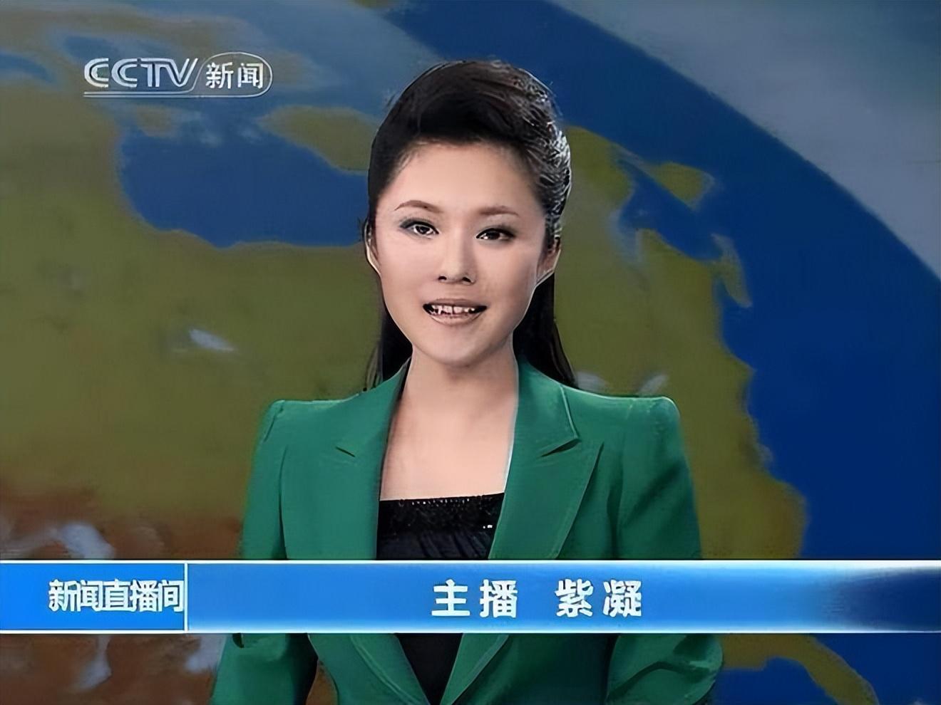 主持人紫凝美容容_央视紫凝生活条件_央视主持人紫凝工资待遇