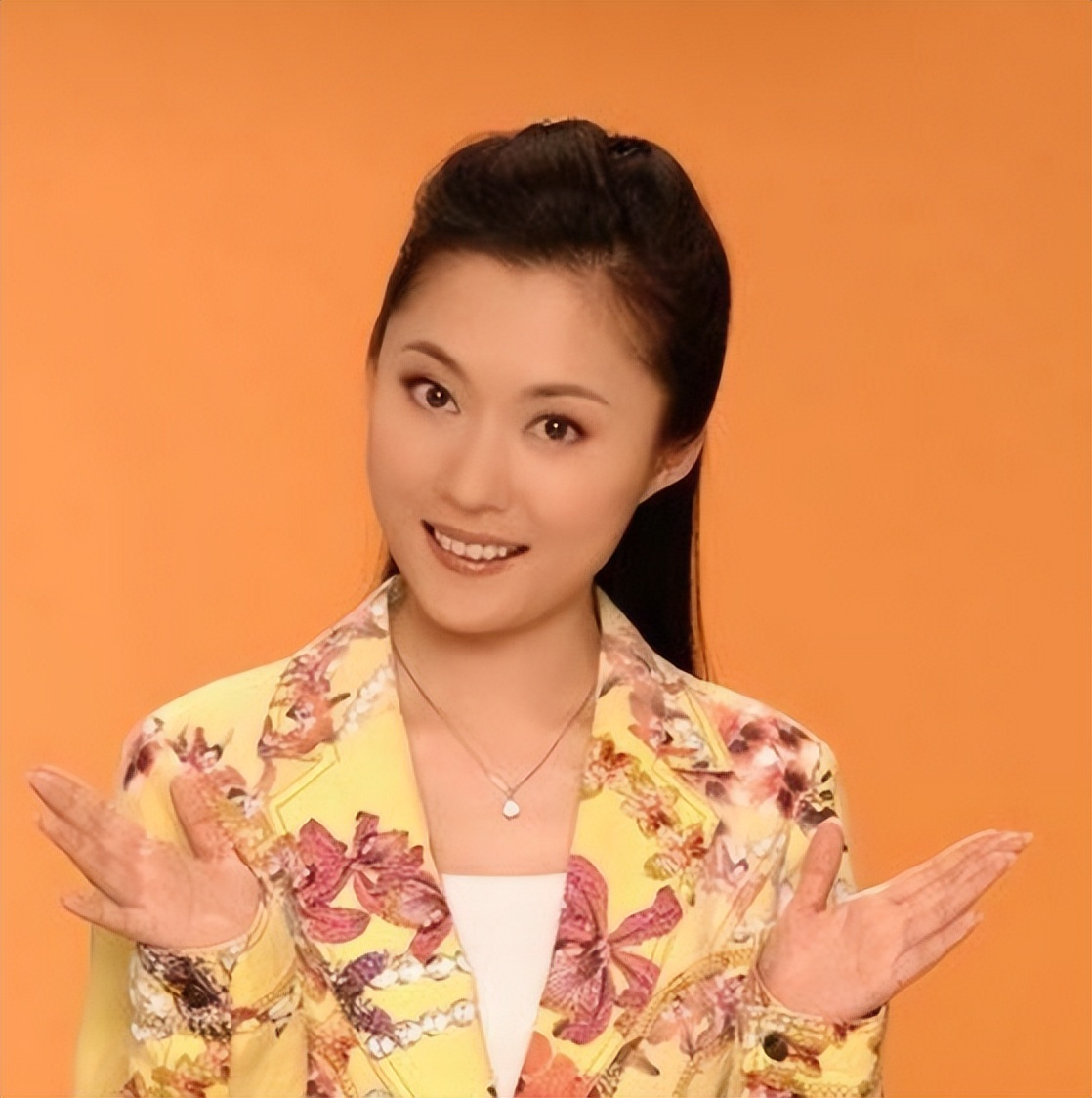 主持人紫凝美容容_央视最穷酸主持人_紫凝主持生涯