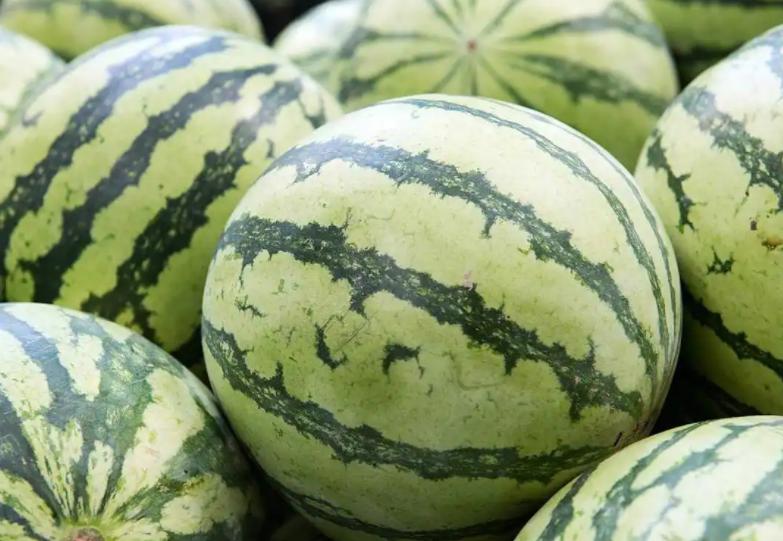 西瓜清肠功效_西瓜如何帮助肠道蠕动_水西瓜