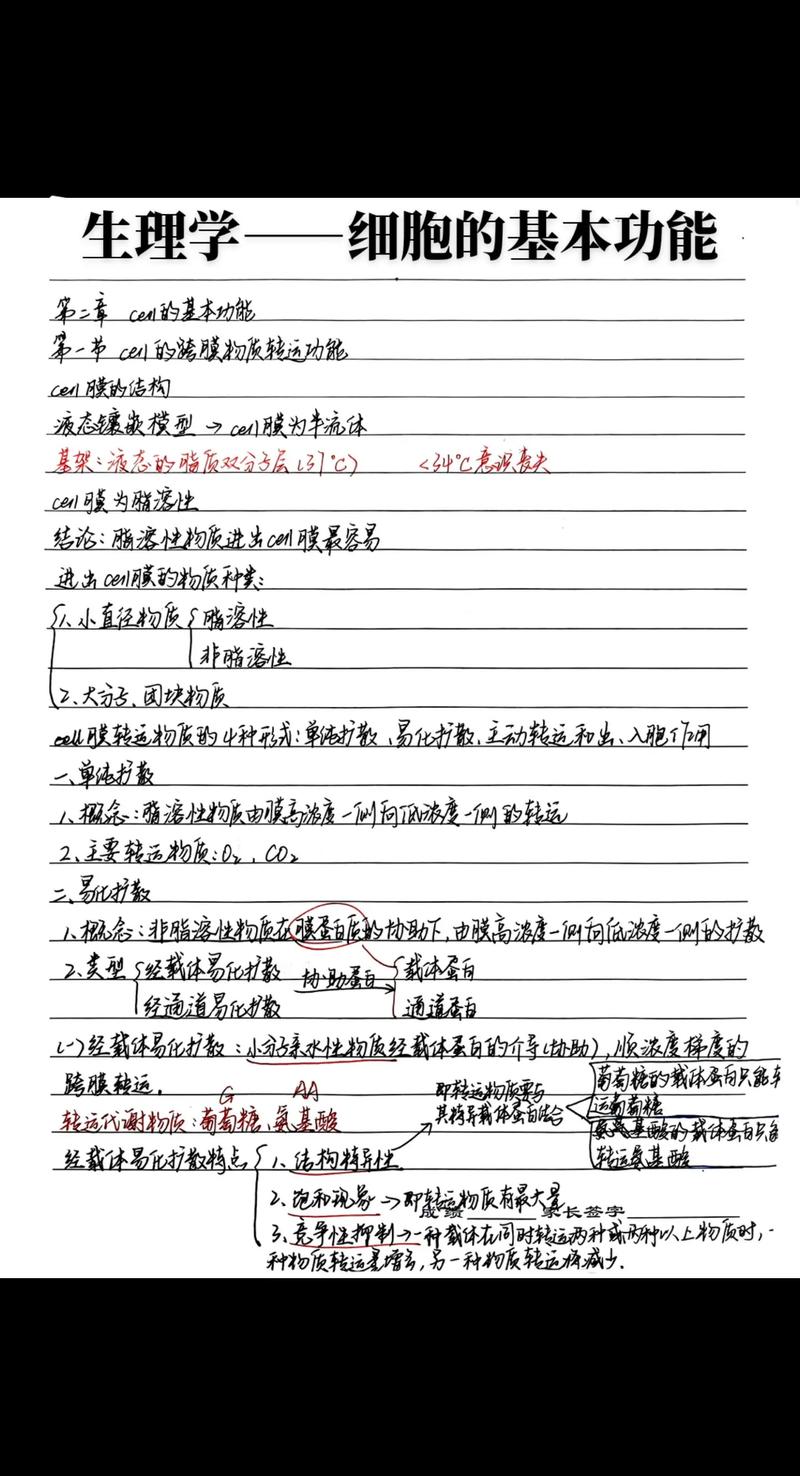 QQ手写笔记提取文字_扫描文字后可以编辑的软件_手写笔记电子化方法