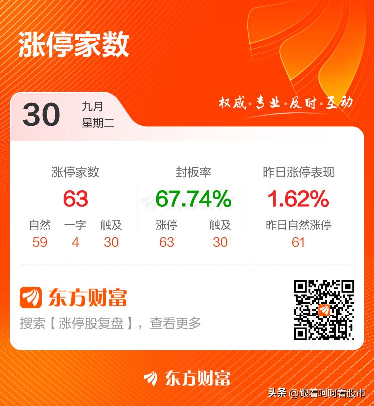 涨停复盘解读 股市入门指南 指数涨跌分析_股票涨停如何购买