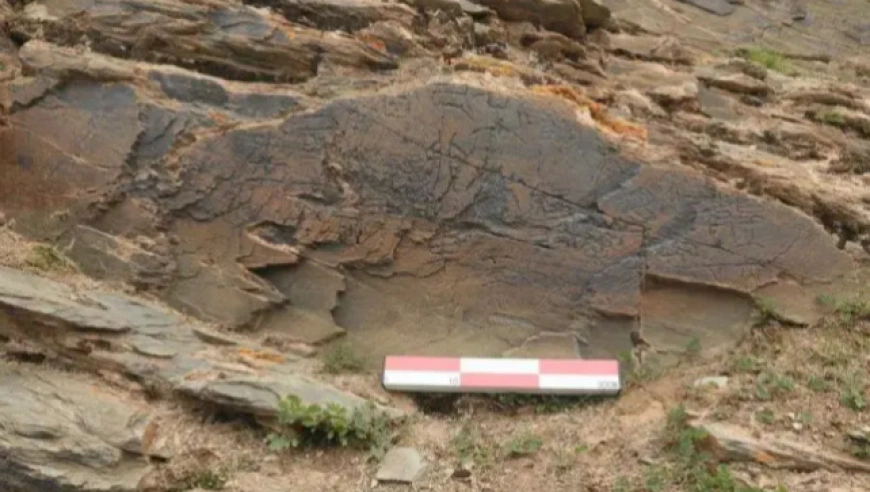 学者首次回应：质疑秦始皇“采药昆仑”石刻引发真假大讨论