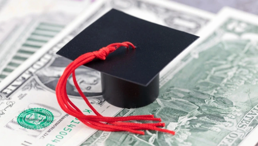 厦门萤点网络科技全球“博士潮”下的困境与突破：产业博士成新趋势