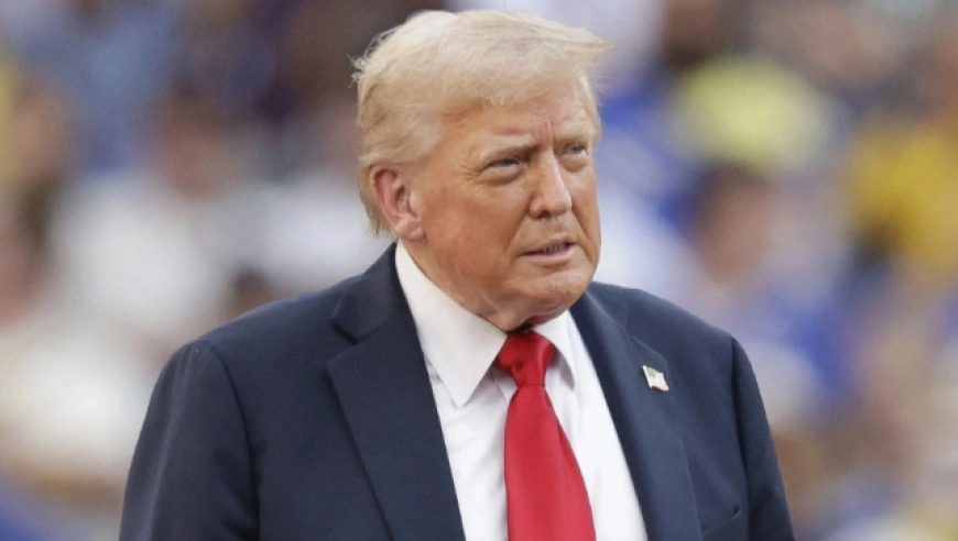 特朗普：8月1日起对20多国加税，美国关税月收将破250亿