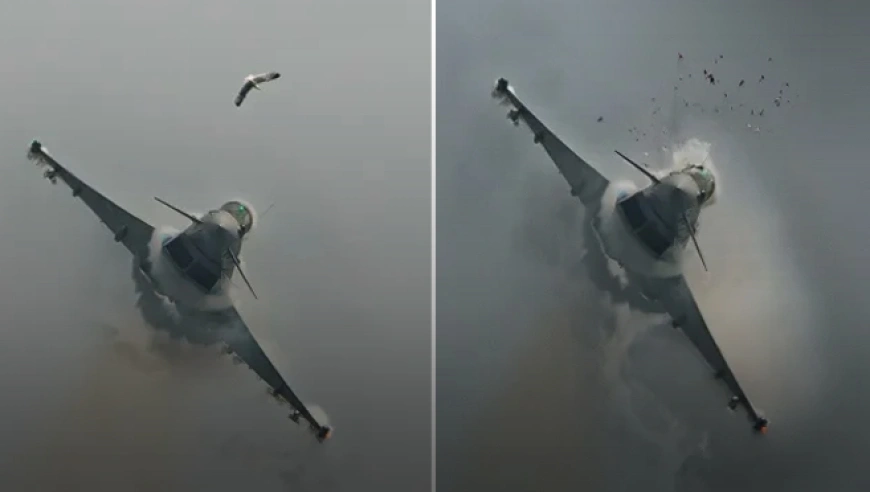 西班牙空军“台风”战机航展遭鸟击，座舱盖瞬间破碎，飞行员安全返航