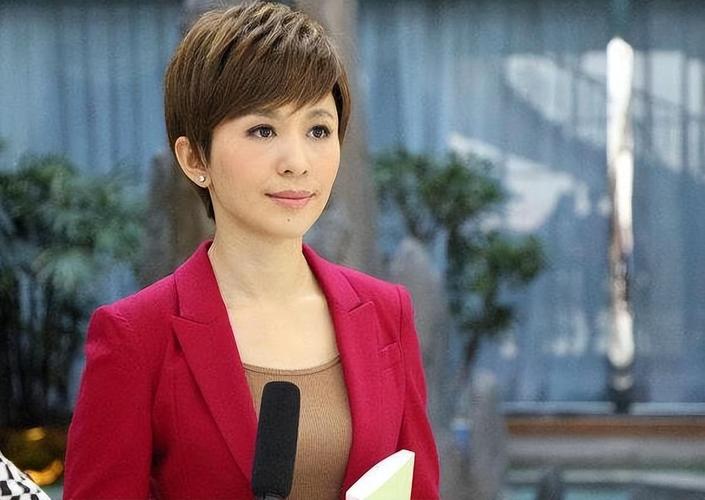 欧阳夏丹央视新闻联播女主播_欧阳夏丹北漂经历央视转型_欧阳夏丹对比照