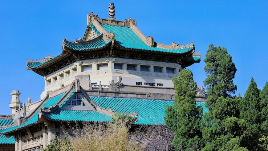 武汉大学图书馆风波与校友命运，正义与选择的追问