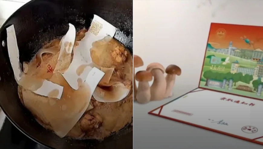 吉林农业大学“可食用录取通知书”引热议，蘑菇纸张可食但不建议食用