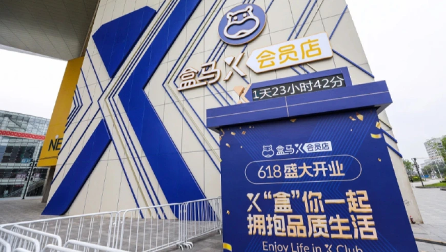 盒马X会员店全部停业，战略调整聚焦核心业态