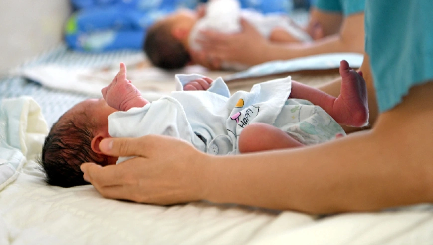 深圳非婚生育无法领育儿补贴，官方回应需等待全省细则