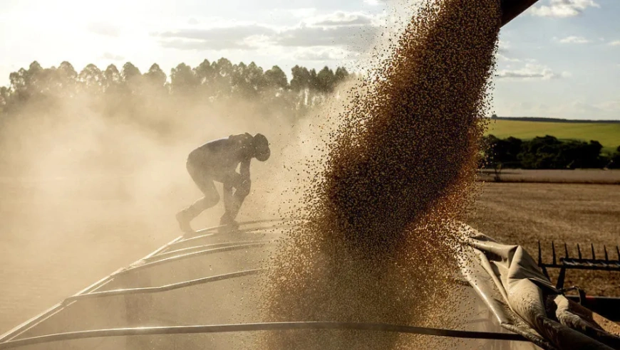 特朗普关税致美农产品出口受阻，美豆农怨声载道，中国采购延迟引发担忧