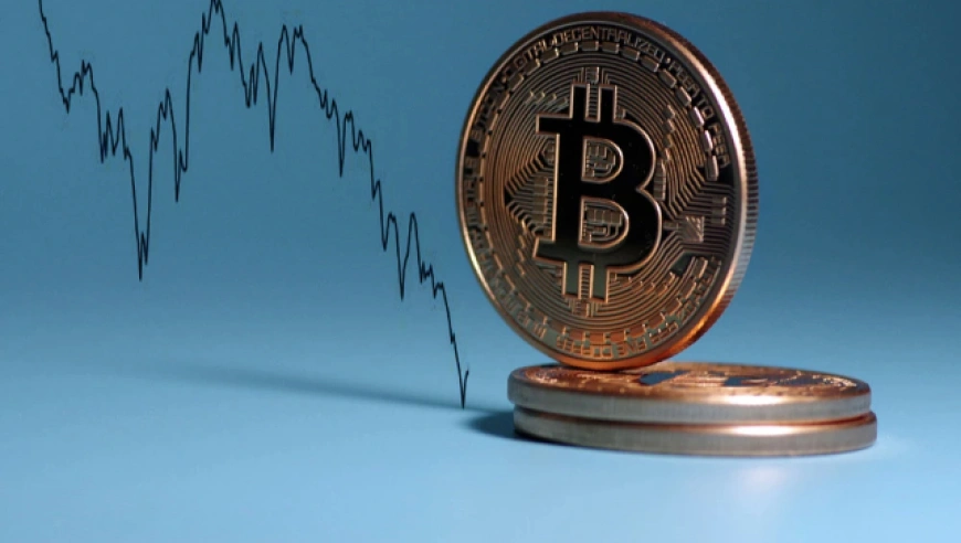 比特币与美股齐创新高，加密市场与股市同步狂欢