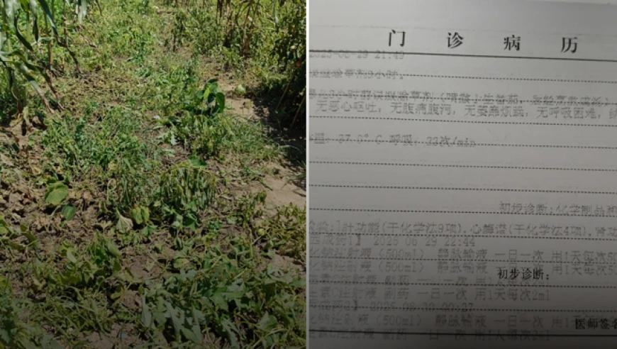 南通邻居往菜园喷农药致一家五口中毒，警方已处罚