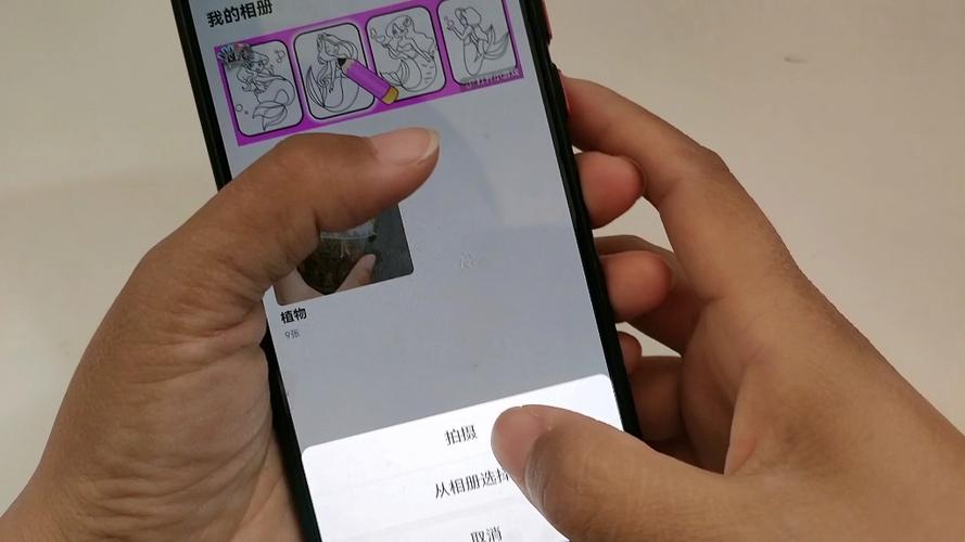  国内外无限免费相册推荐 _支持外链免费旅游图片相册 _免费国外直链网盘