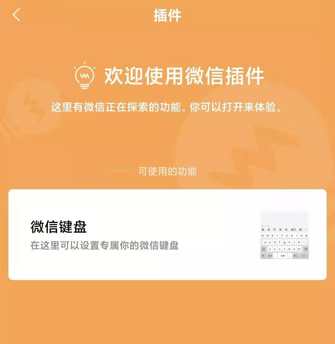 隐私保护输入法_没有插件的输入法_微信键盘