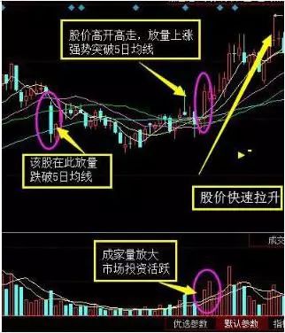 股票筹码全是套牢盘_高位大单买入股价下跌_尾盘拉升判明日涨跌