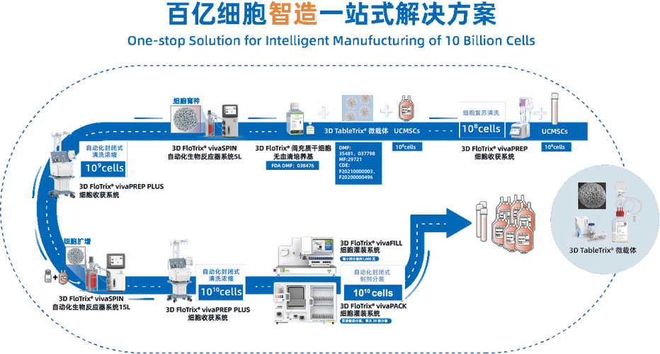 医药工业研究所_3D细胞培养透明化试剂产业链研究_3D细胞培养透明化试剂市场分析