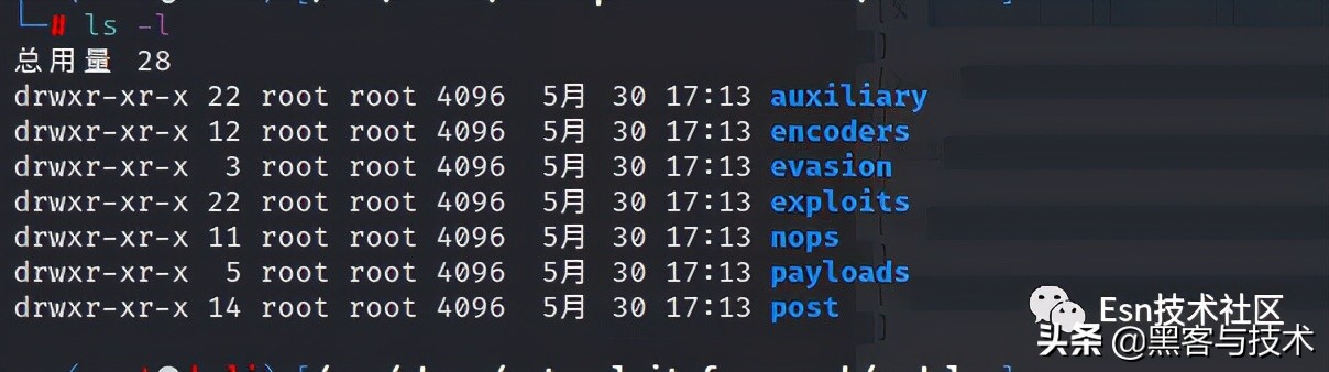 Metasploit 模块类型学习_php入门教程pdf_Metasploit 内部架构详解