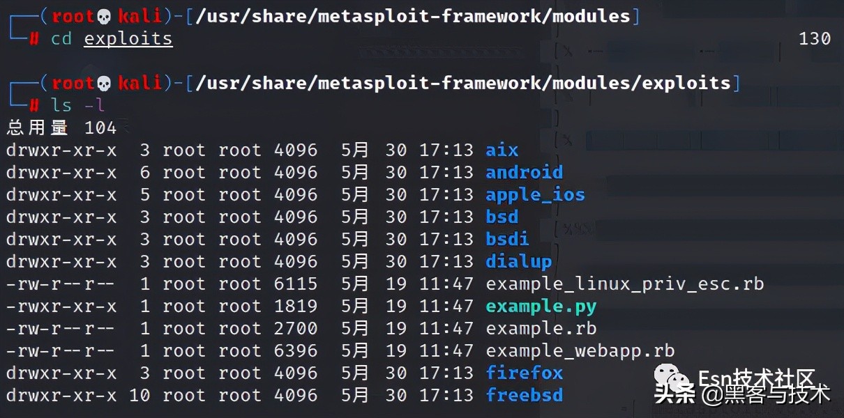 Metasploit 模块类型学习_php入门教程pdf_Metasploit 内部架构详解