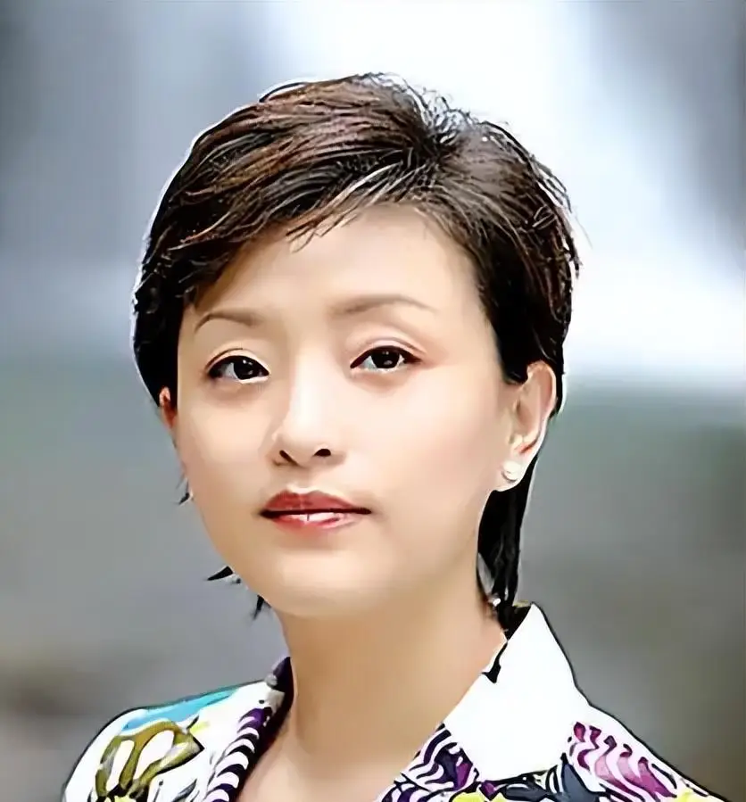 欧阳夏丹还在央视吗_杨澜 央视美女主持人 90年代最美女主持人
