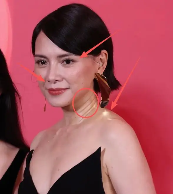 杨澜 央视美女主持人 90年代最美女主持人_欧阳夏丹还在央视吗