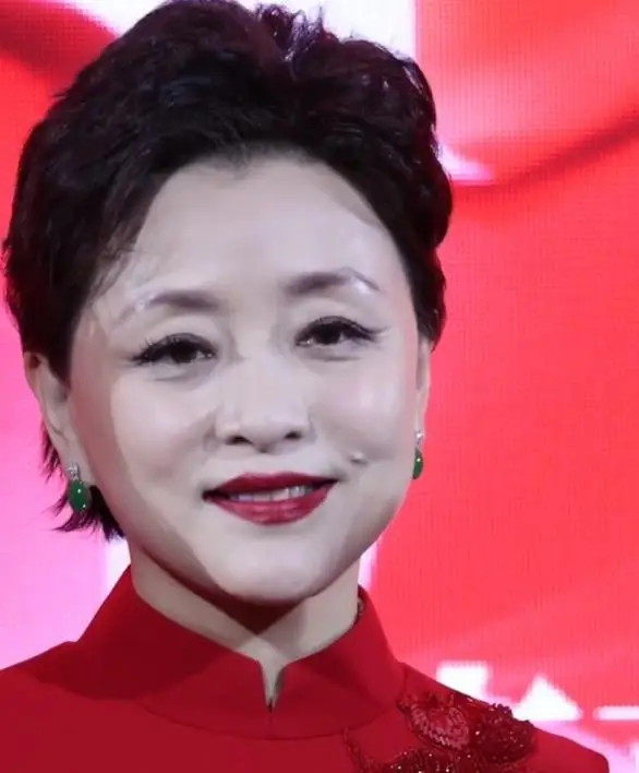 杨澜 央视美女主持人 90年代最美女主持人_欧阳夏丹还在央视吗