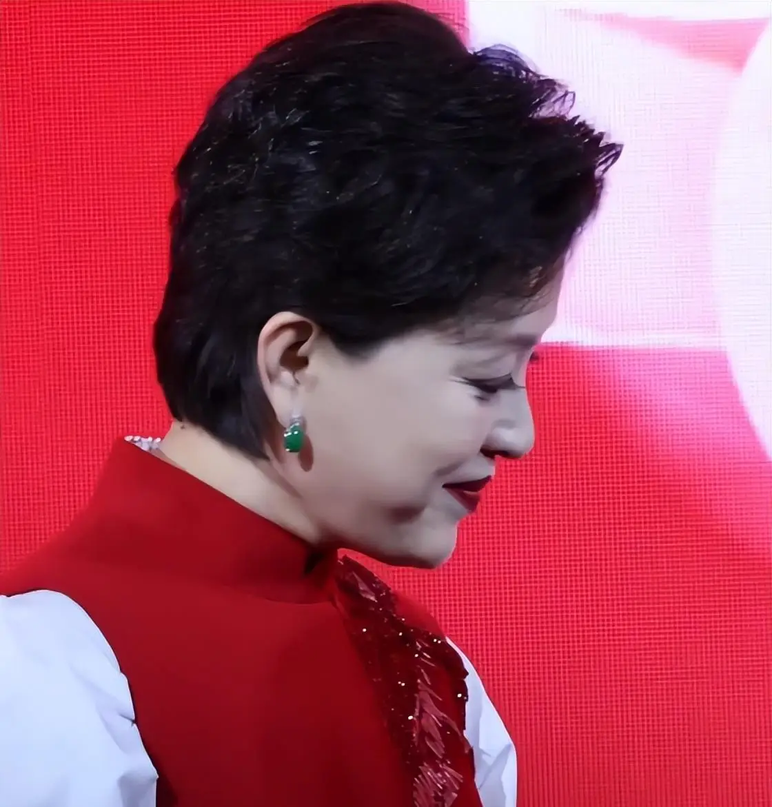 杨澜 央视美女主持人 90年代最美女主持人_欧阳夏丹还在央视吗