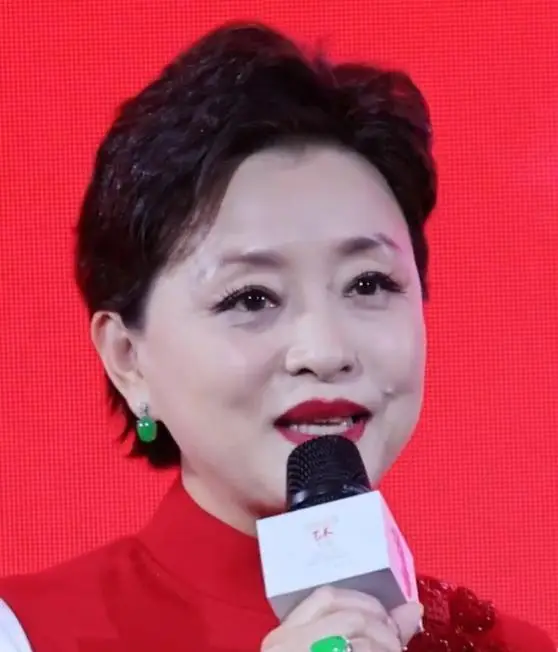 欧阳夏丹还在央视吗_杨澜 央视美女主持人 90年代最美女主持人