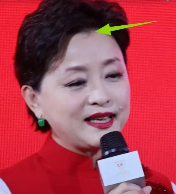 杨澜 央视美女主持人 90年代最美女主持人_欧阳夏丹还在央视吗