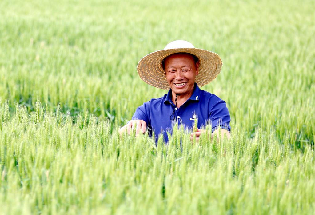 中国电影国际影响力全球调研数据_中国形象提升_全球好感度上升