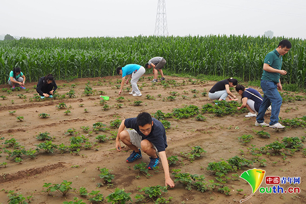 国家审计署青年干部调研纪实：根在基层 不能忘本