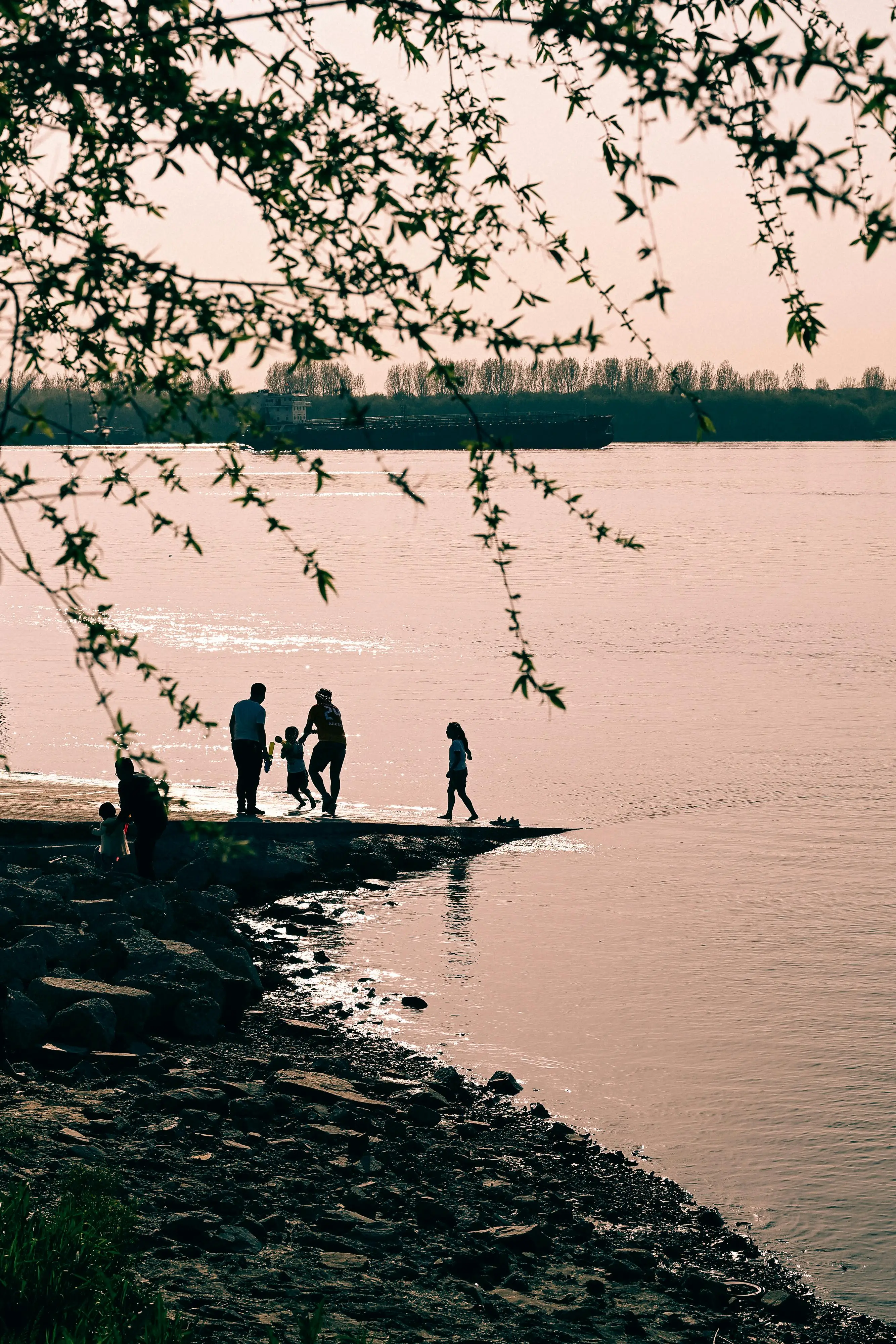 欧阳夏丹还在央视主持吗？她为何单身？离开央视后的现状如何？