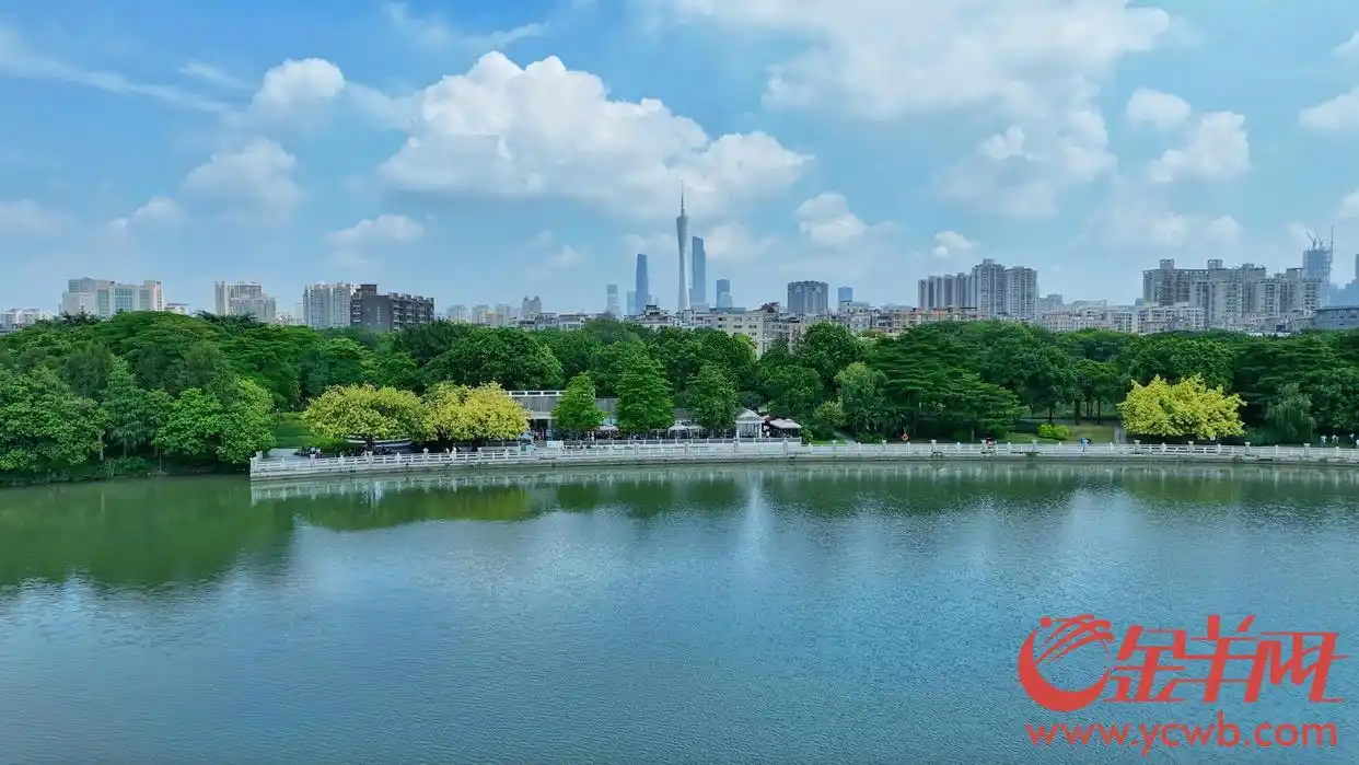 广州沙太路规划方案_广州沙村附近规划_广州沙溪规划图