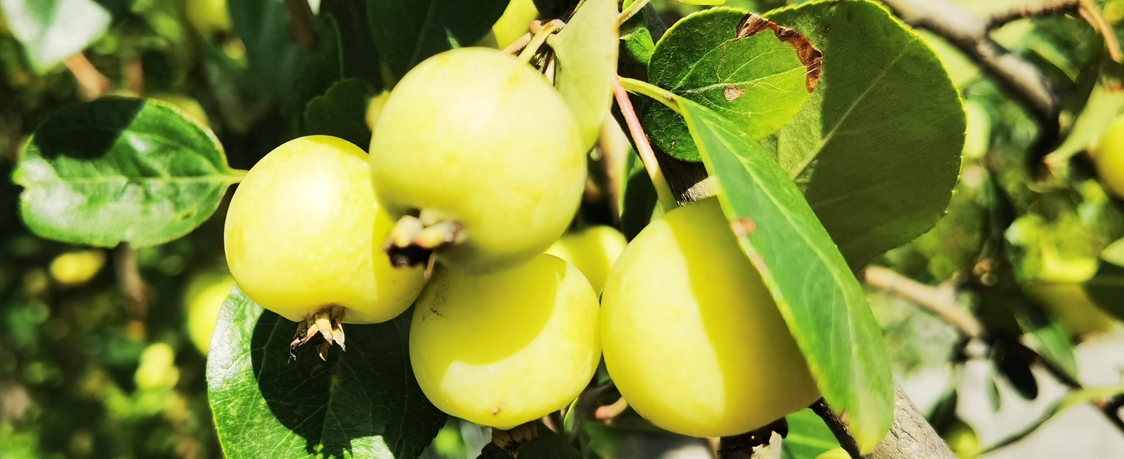 新闻稿件的结构_拆解爆款视频结构_分析爆款视频骨架