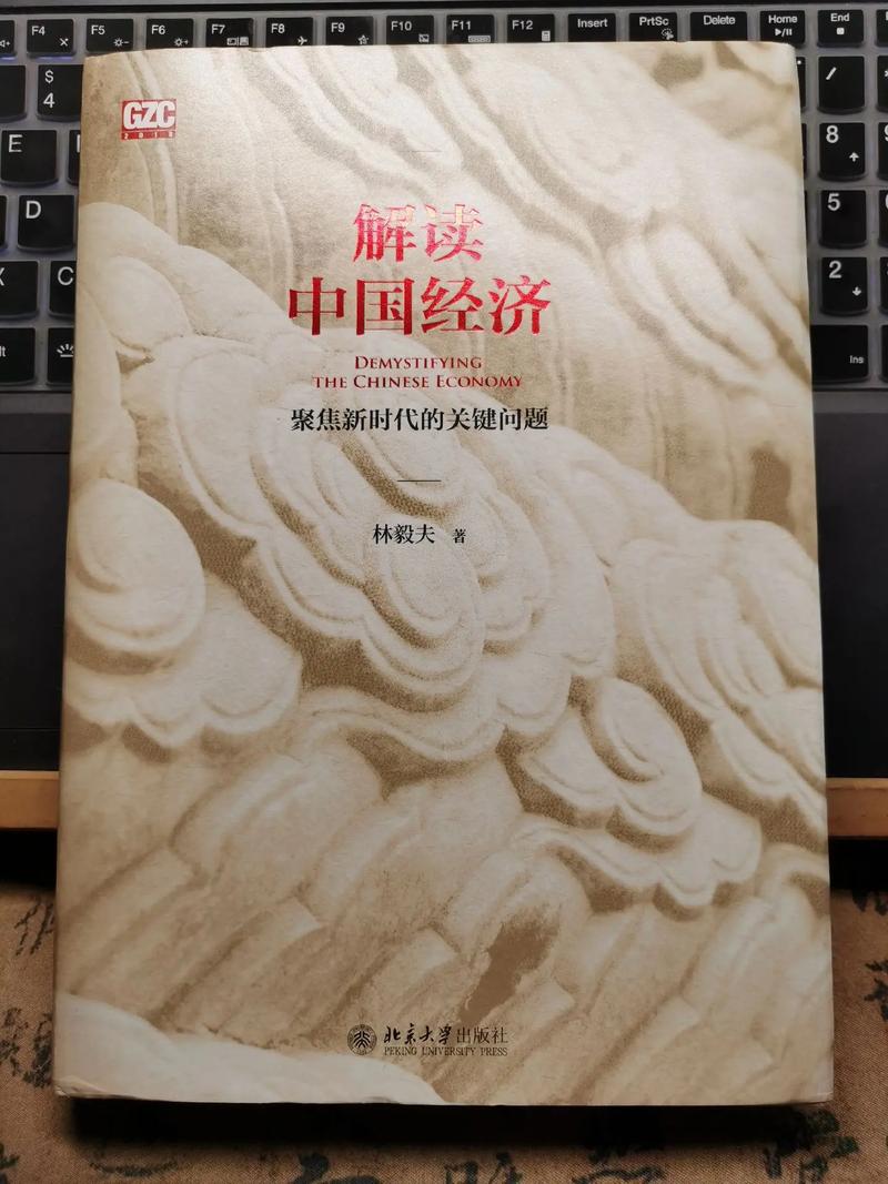 解码中国经济：12 位经济学家解读中国经济前景与底气？