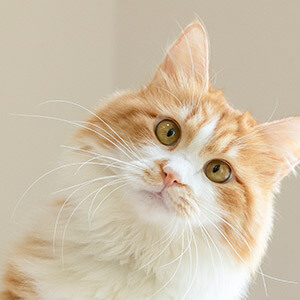 网购电脑屏幕损坏赔偿_网购退货退款赔偿要求_网上买的电脑屏幕收到是坏的