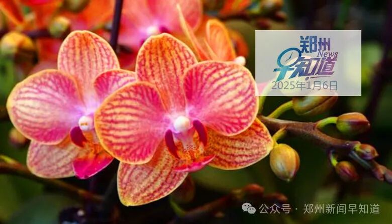 郑州今日天气转晴，193个项目总投资2057亿落地