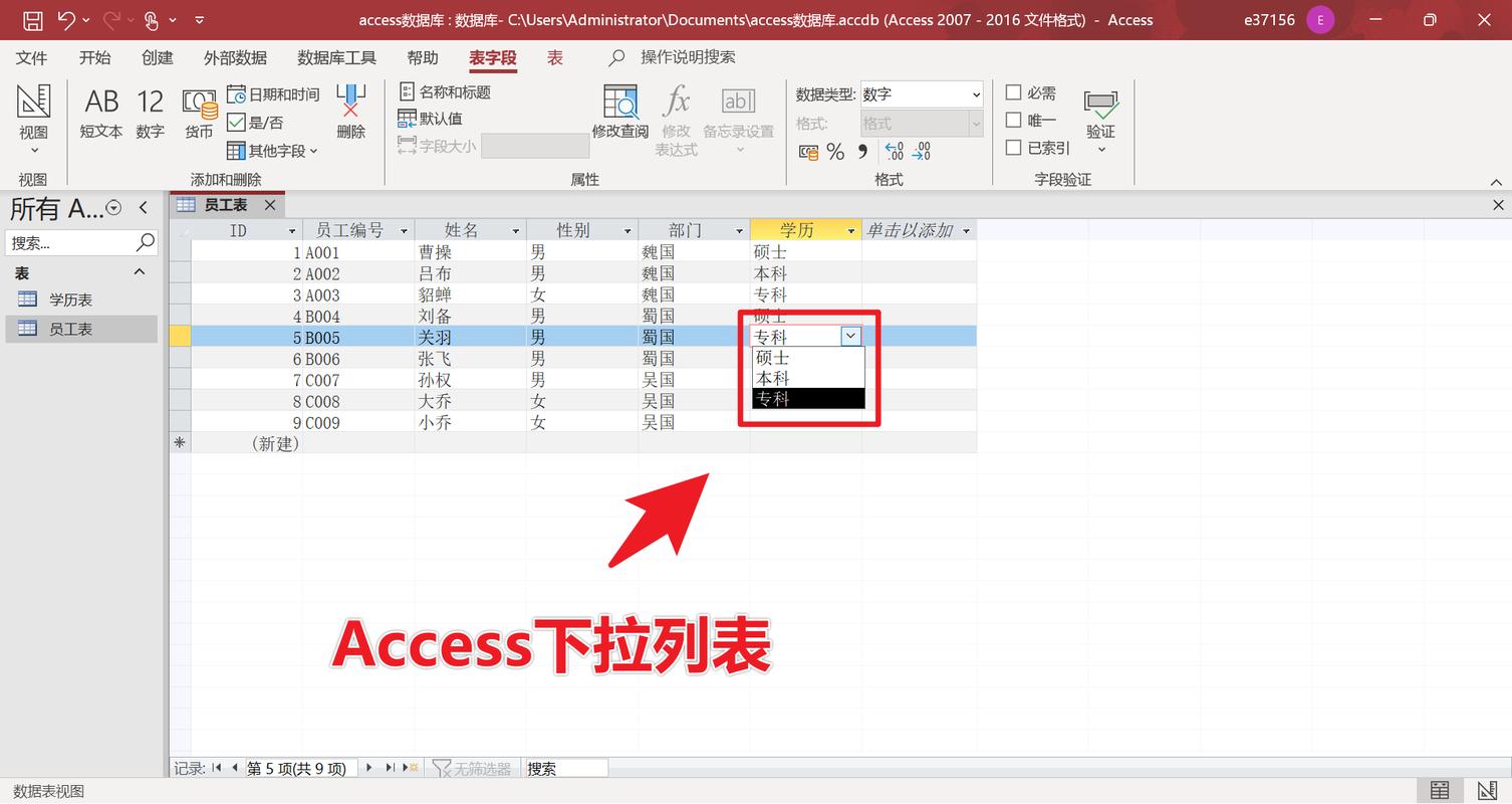 Access数据库五大组件作用_access数据库技术与应用教程_Access查询SQL使用技巧