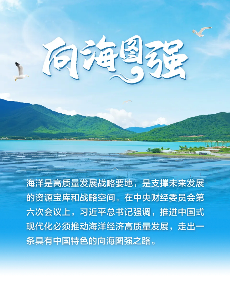 金融创新助力广东海洋养殖，贷款增26%