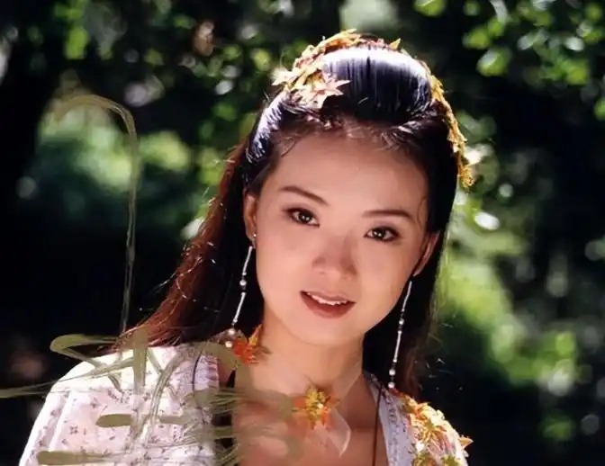 王艳跟王志才的照片_王艳真实生活经历_王艳豪门婚姻心酸史