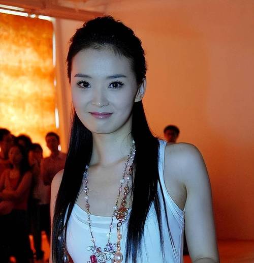 王艳 晴格格 北京舞蹈学院 演艺之路 王志才 王艳婚姻生活 王艳家庭生活 王艳事业经历 王艳婆婆关系 王艳继子_王艳跟王志才的照片