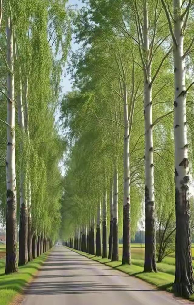 永城市委办公室副主任李新功_永城市酂城镇发展_酂城镇领导班子建设