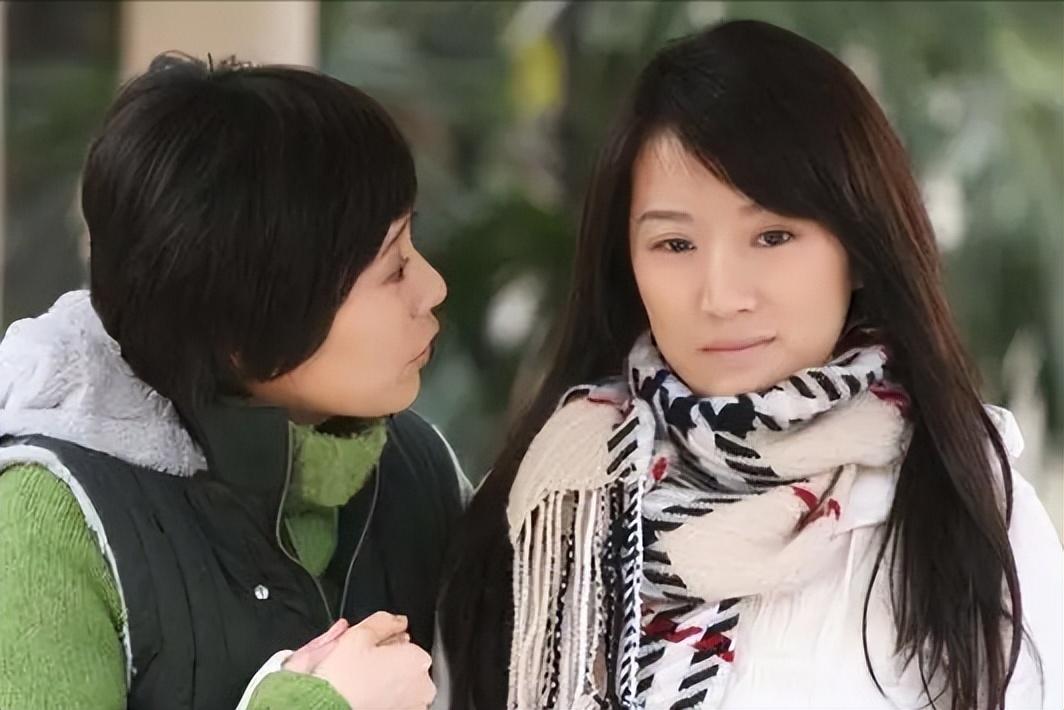 国产经典电视剧推荐_蜗居小说续集_《蜗居》宋思明海藻情感纠葛分析