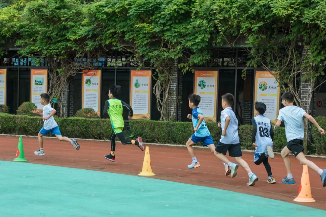瑞安市实验小学运动会通讯稿_校运会通讯稿400字_瑞安市实验小学秋季素质运动会