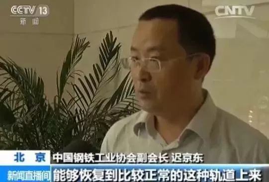 白菜的价格走势_白菜价格未来走势_钢铁白菜价财经