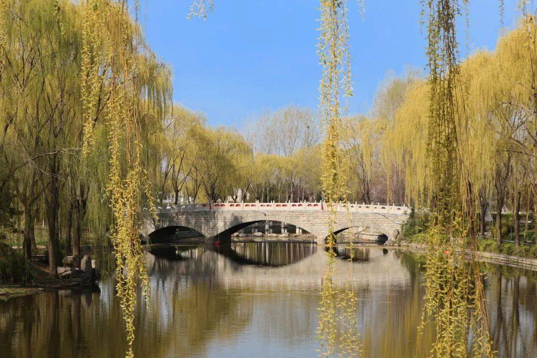 金融专业大学生规划_金融专业个人大学规划_金融学生大学规划