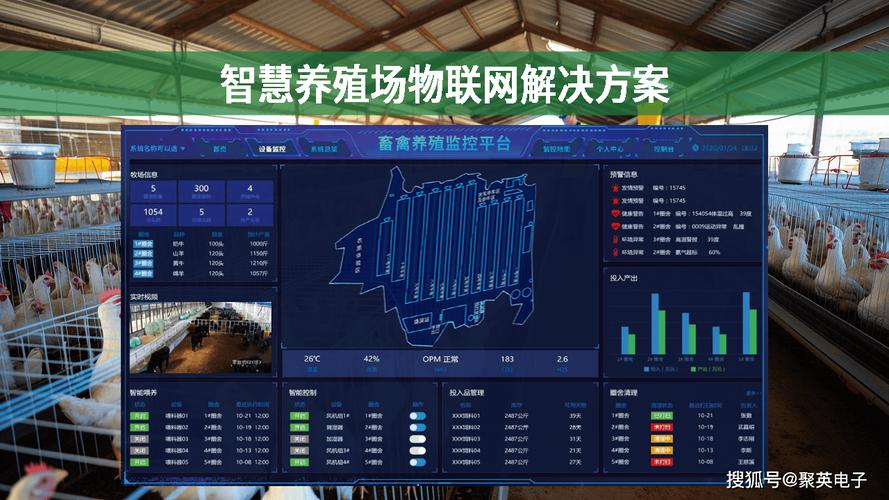 互联网+猪肉养殖数字化方案：智能技术重塑畜牧产业生态链