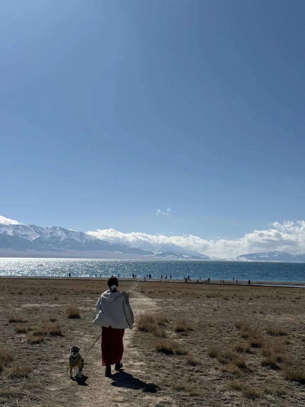 从飞机窗户拍照图片_2025年你最满意的一张照片 征集活动 精选佳作