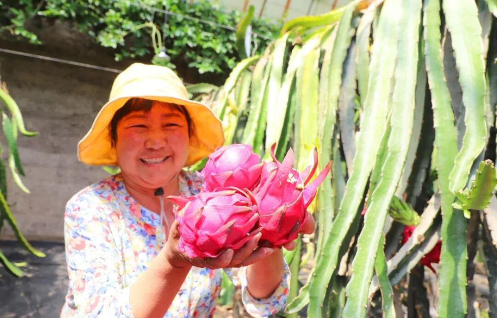 从飞机窗户拍照图片_2025年你最满意的一张照片 征集活动 精选佳作