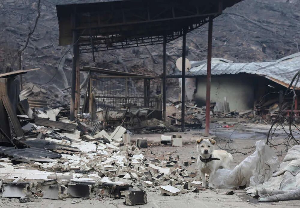 2025年你最满意的一张照片 征集活动 精选佳作_从飞机窗户拍照图片